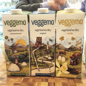 Veggemo
