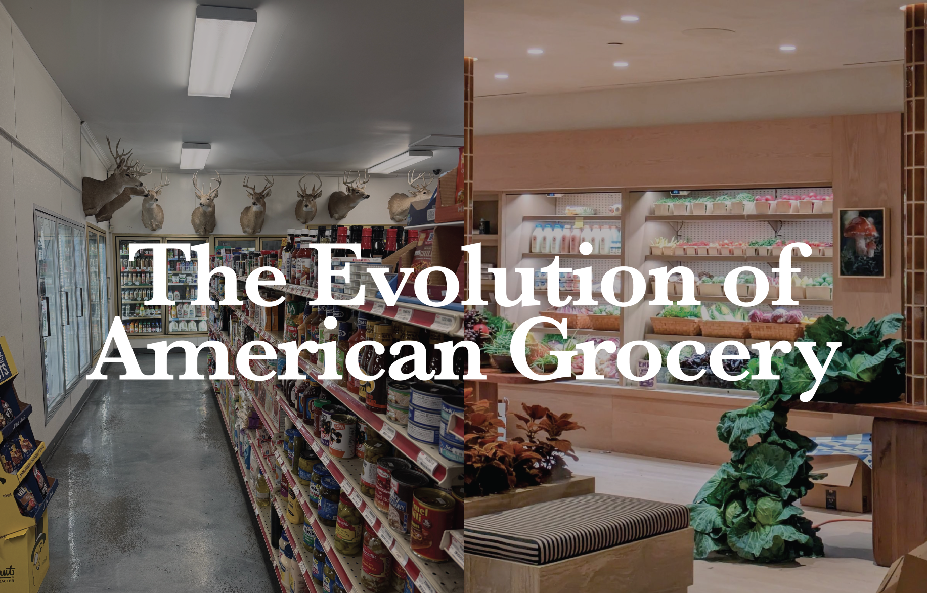 The Evolution Of American Grocery