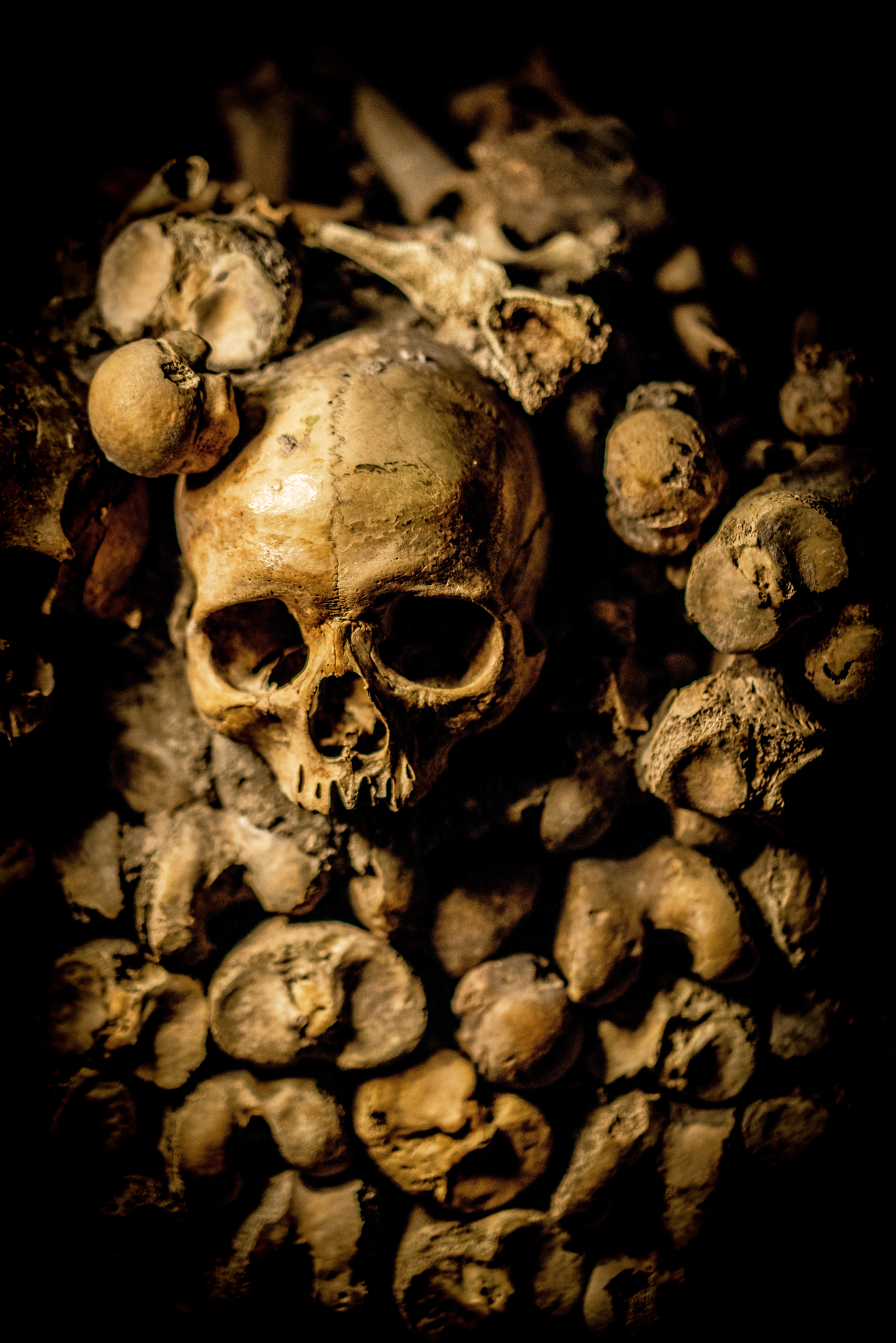 Warmly lit skull and bones in a catacomb, the inspiration behind the Bone Haus name