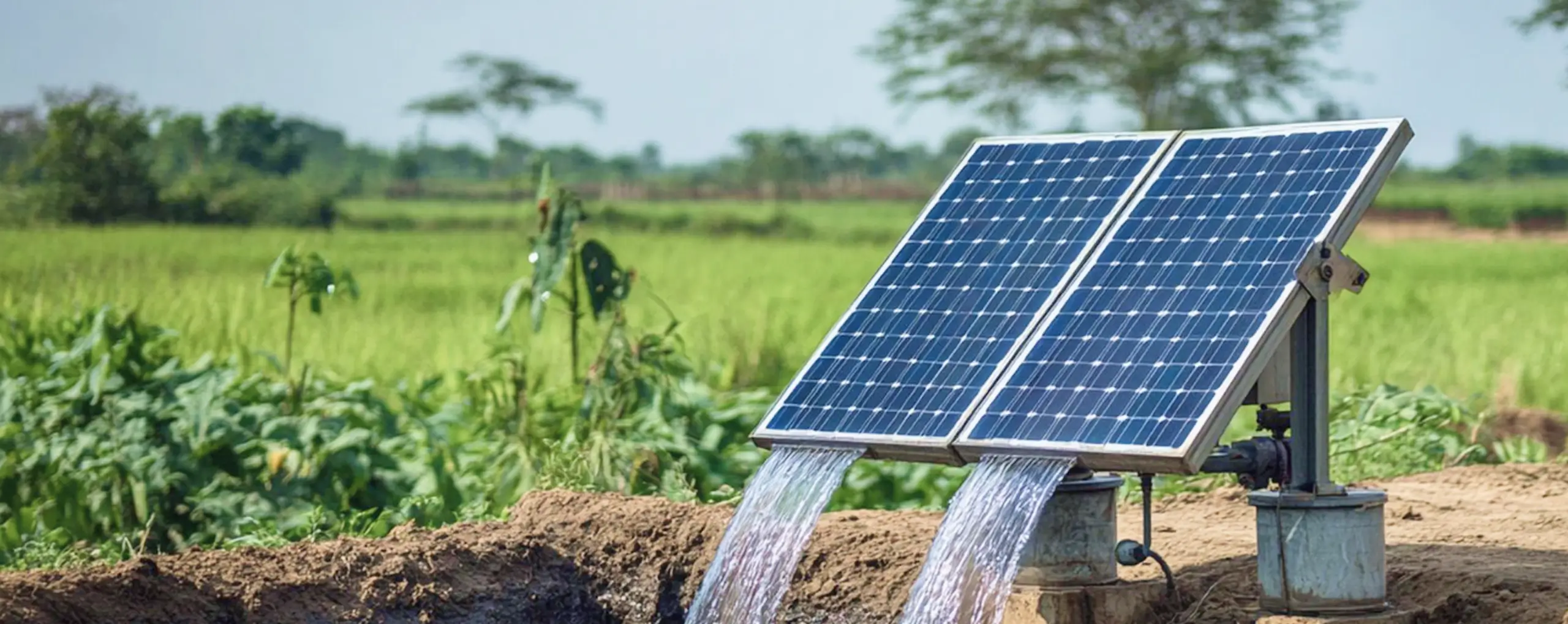 Solar Water Pumps for Agriculture