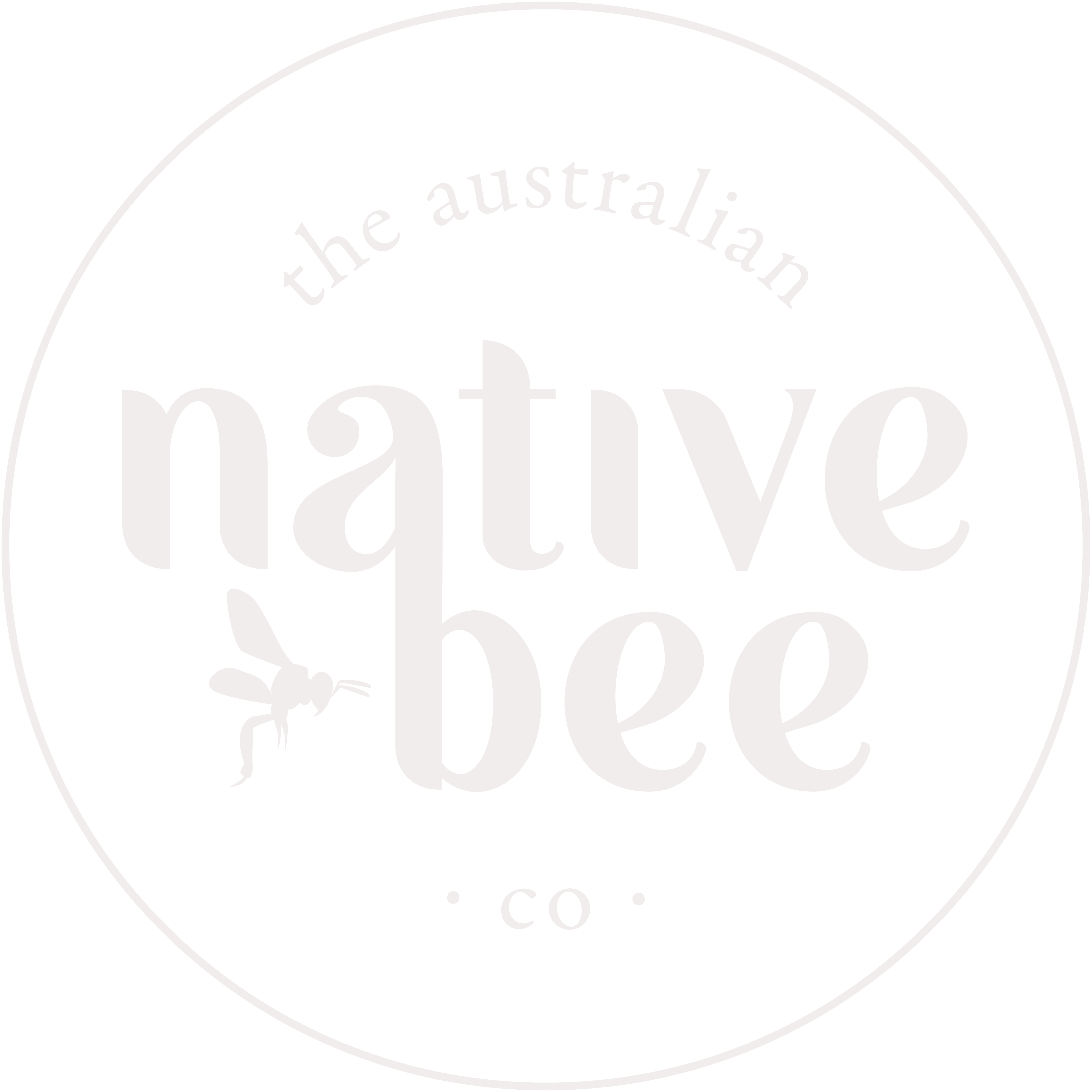 The Australian Native Bee Company