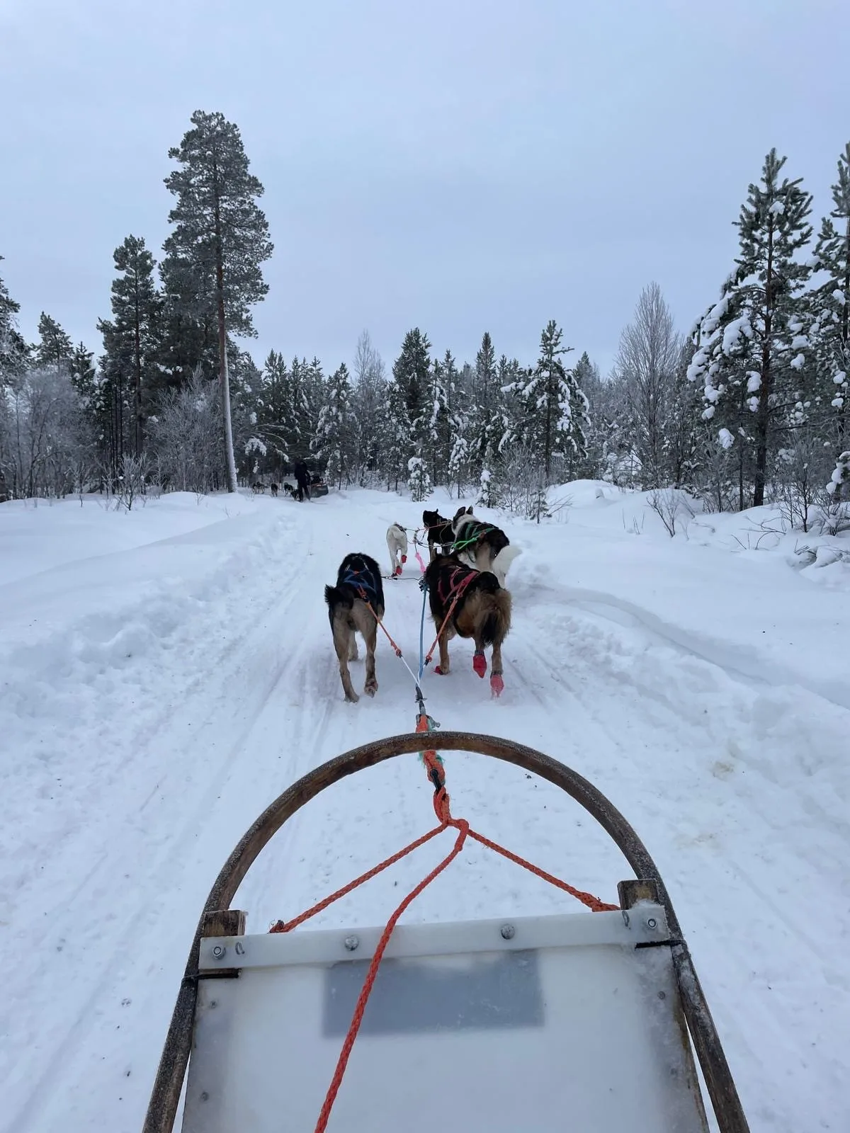 What a Semester in Finland Really Looks Like