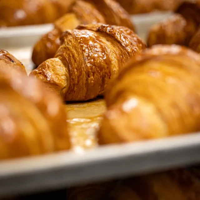 Golden-brown croissants with flaky layers on a baking sheet.