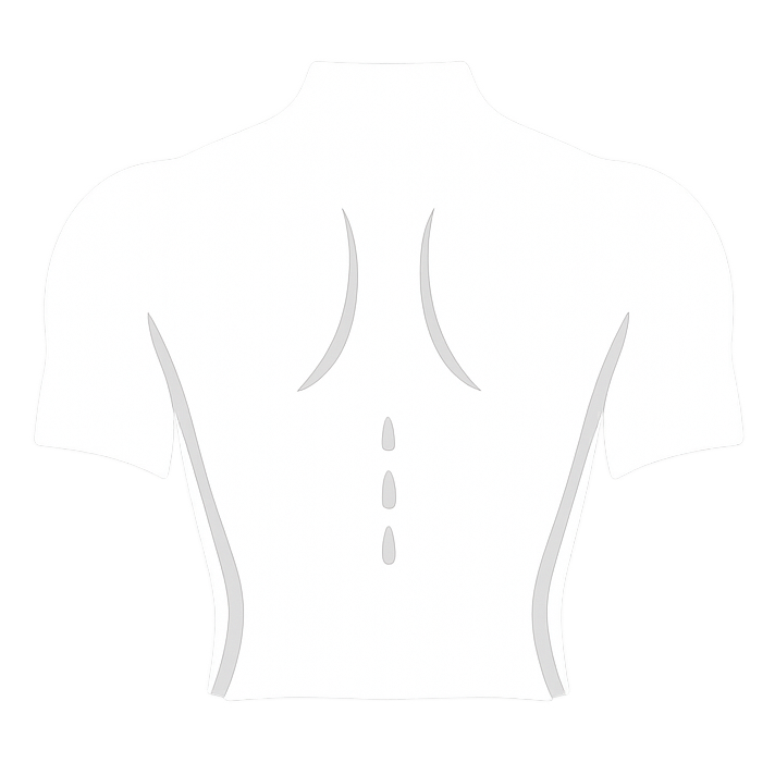 Simplified illustration of a human upper back and shoulders viewed from behind with muscle outlines.