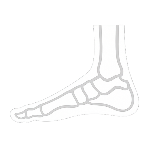 Simple illustration of foot bones showing side view of toes, metatarsals, and ankle bones.