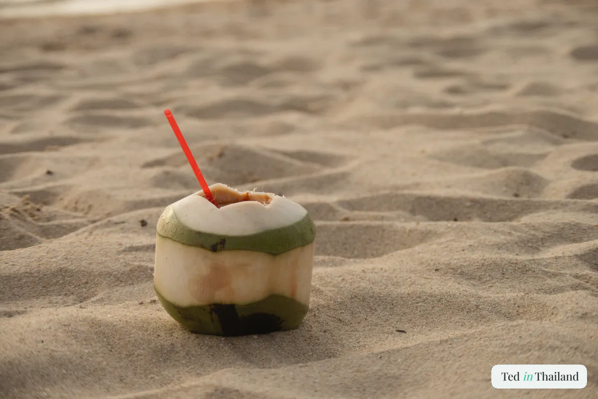 Chilled young coconut with a straw on the sand of a Koh Samui beach, the cheap 40-baht beach drink