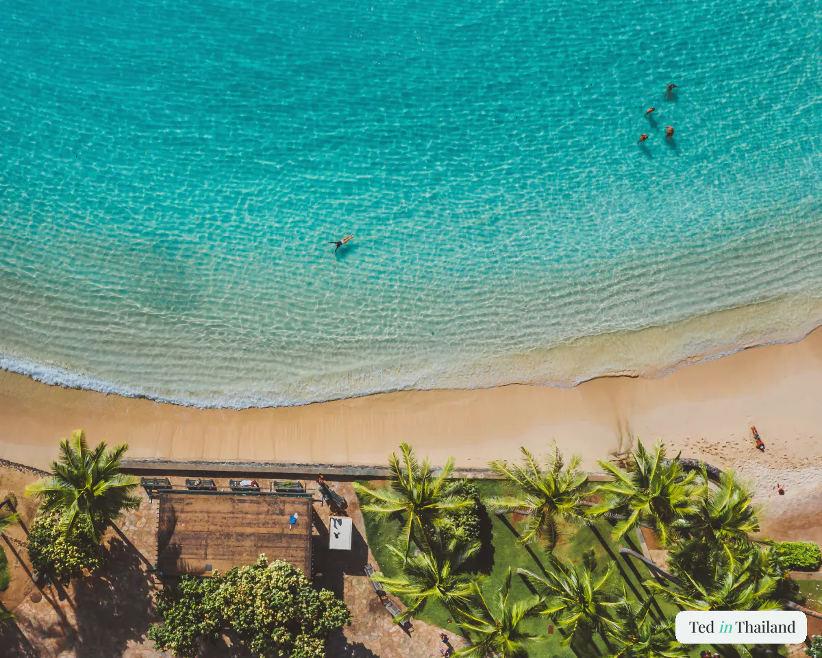 Overhead view of turquoise shallows meeting pale sand and swaying palms on a Koh Samui beach
