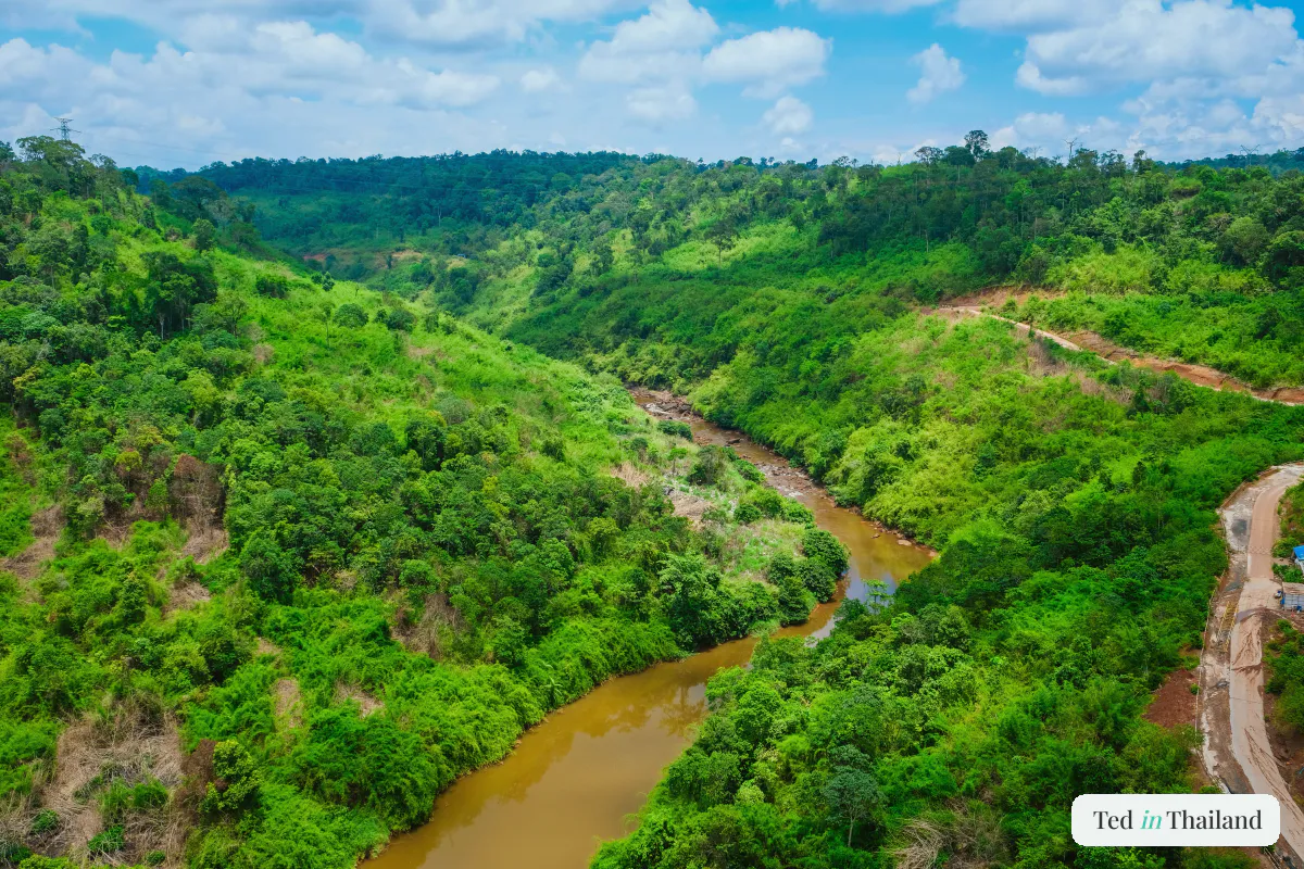 Aerial view of Koh Samui's mountainous green interior, a jungle river winding between forested hills