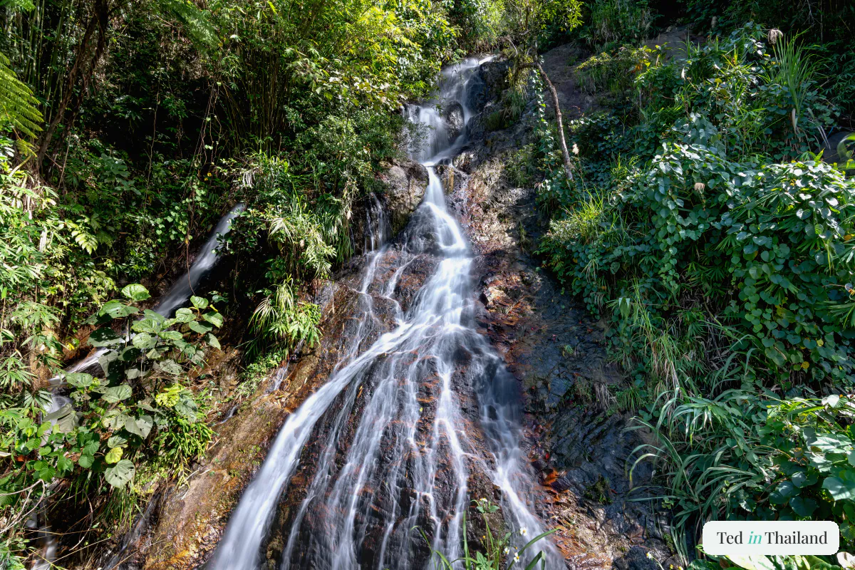 Na Muang Waterfall cascading over a dark rock face through dense green jungle in Koh Samui's mountainous interior