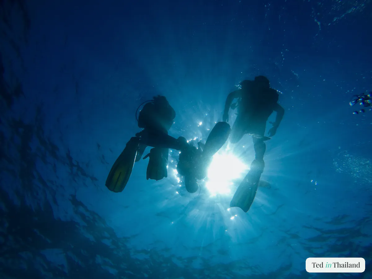 Silhouetted scuba divers descending through clear blue water with sun rays streaming from the surface at Koh Tao, reached from Koh Samui