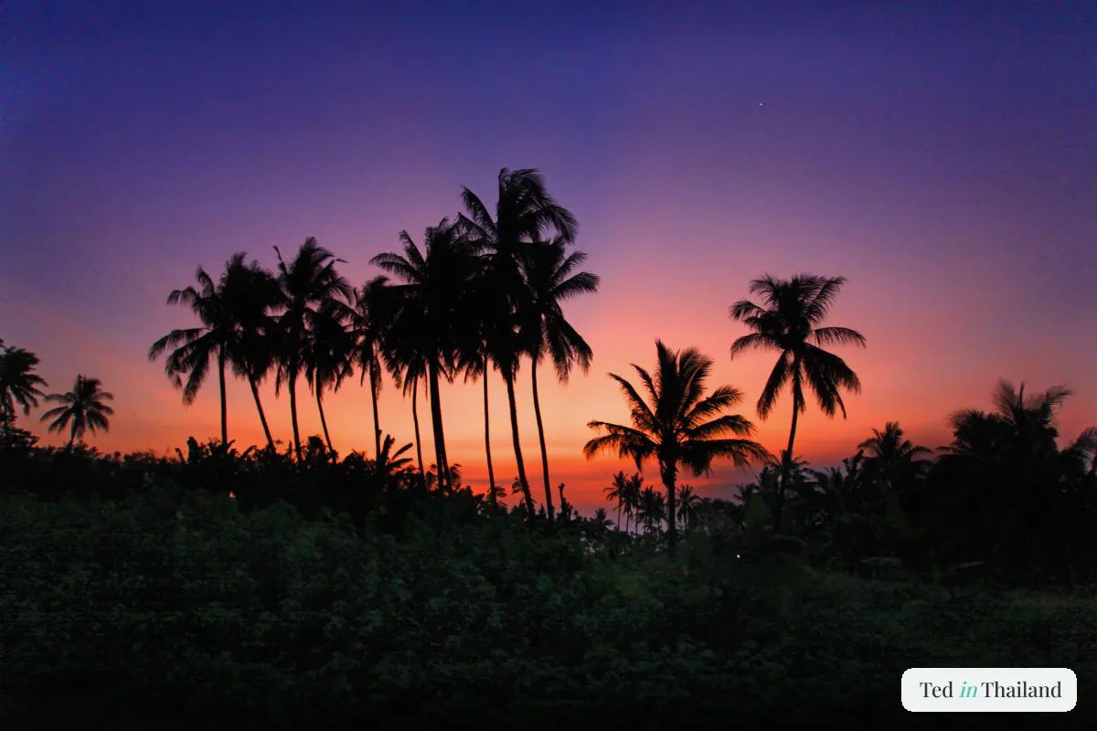 A calm Koh Samui shoreline at sunset with moored boats, typical of west coast beaches like Lipa Noi
