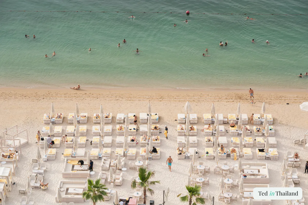 Aerial view of white daybeds and umbrellas on the sand at a Koh Samui beach club, the comfortable mid-range vacation look