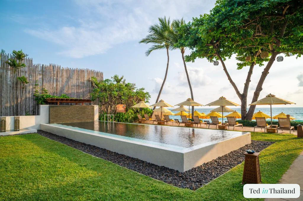 Beachfront infinity pool with yellow umbrellas and loungers at Buri Rasa Village on Chaweng Beach, Koh Samui