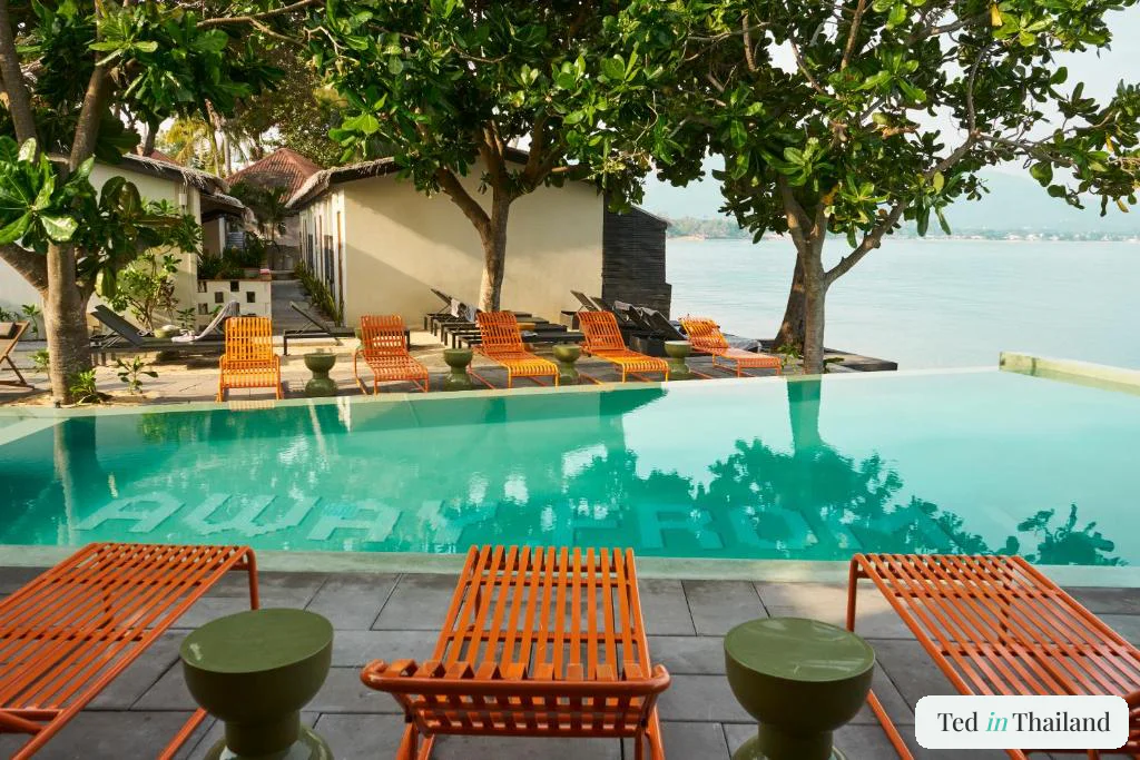Burnt-orange loungers along the beachfront infinity pool at Escape Beach Resort on Maenam, Koh Samui