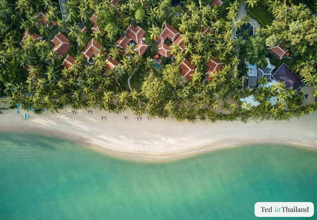 Overhead aerial view of terracotta-roofed villas set in coconut palms behind Maenam Beach at Santiburi Koh Samui