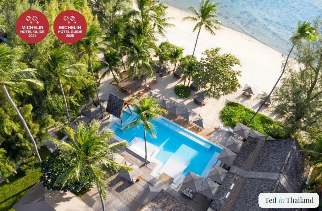 Aerial view of the main pool ringed by coconut palms and daybeds at SALA Samui Choengmon Beach Resort