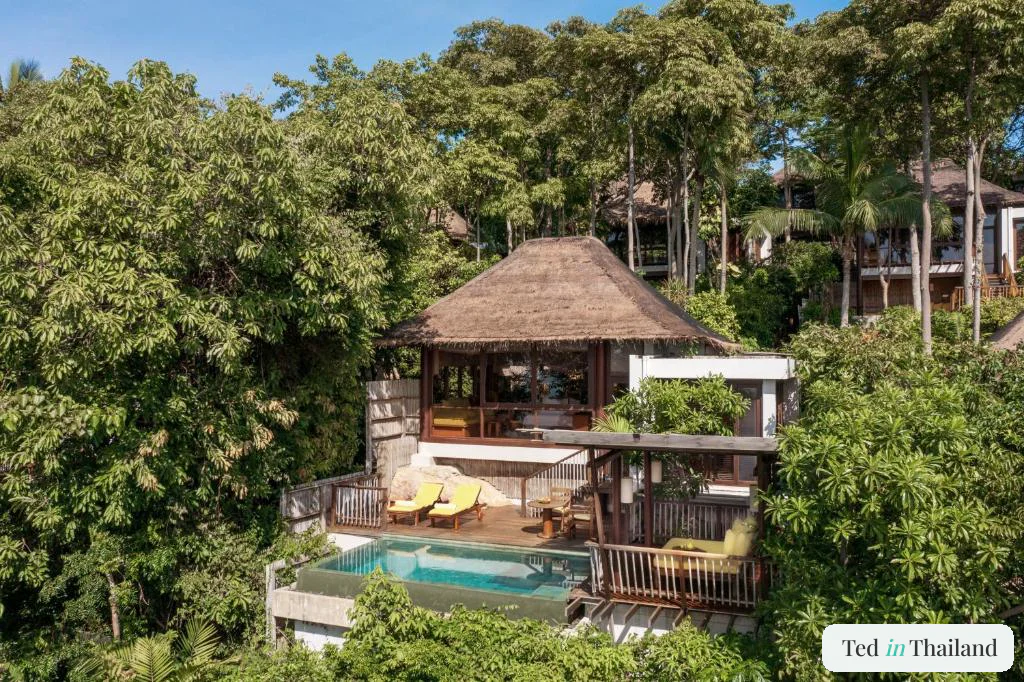 Thatched hillside pool villa with private plunge pool and sun loungers at Six Senses Samui