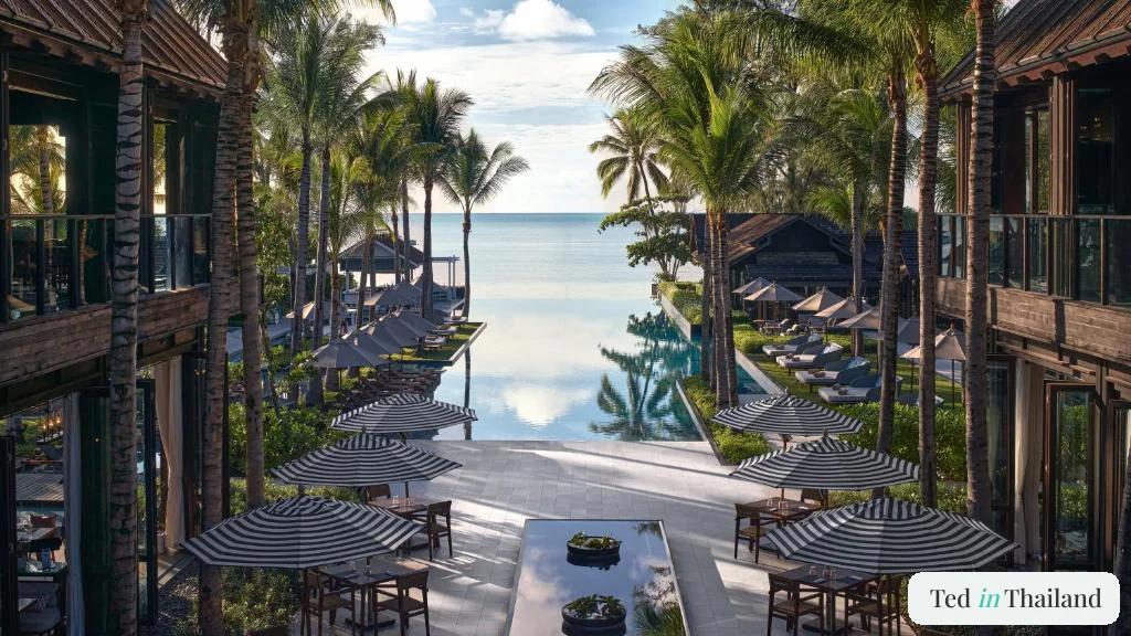 Palm-lined infinity pool at Kimpton Kitalay Samui on Choeng Mon, a family-friendly luxury resort in Koh Samui