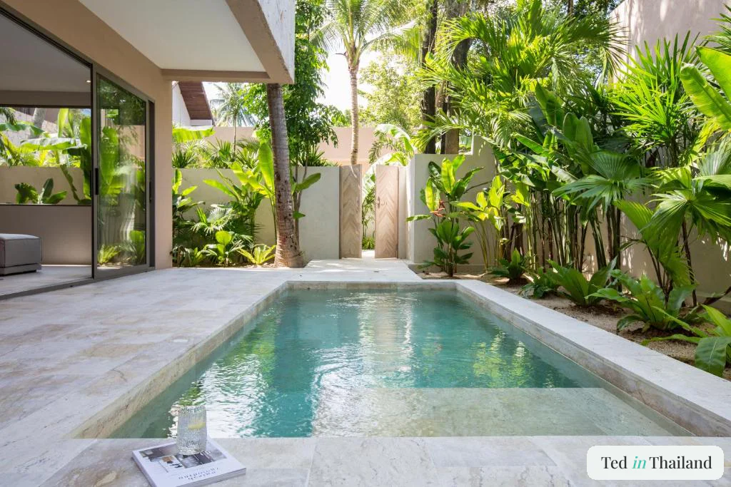 Private plunge pool in a walled garden courtyard at a boutique hotel in Koh Samui, screened by banana and travellers palms