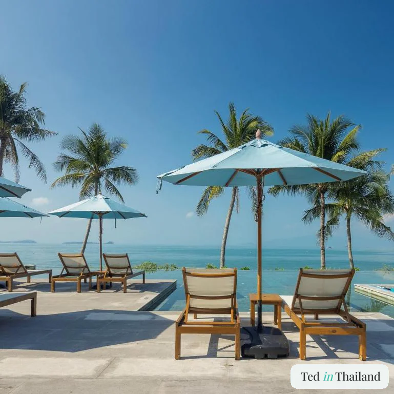 Sun loungers and pale blue umbrellas along the beachfront infinity pool at Celes Beachfront Resort, Bophut Beach