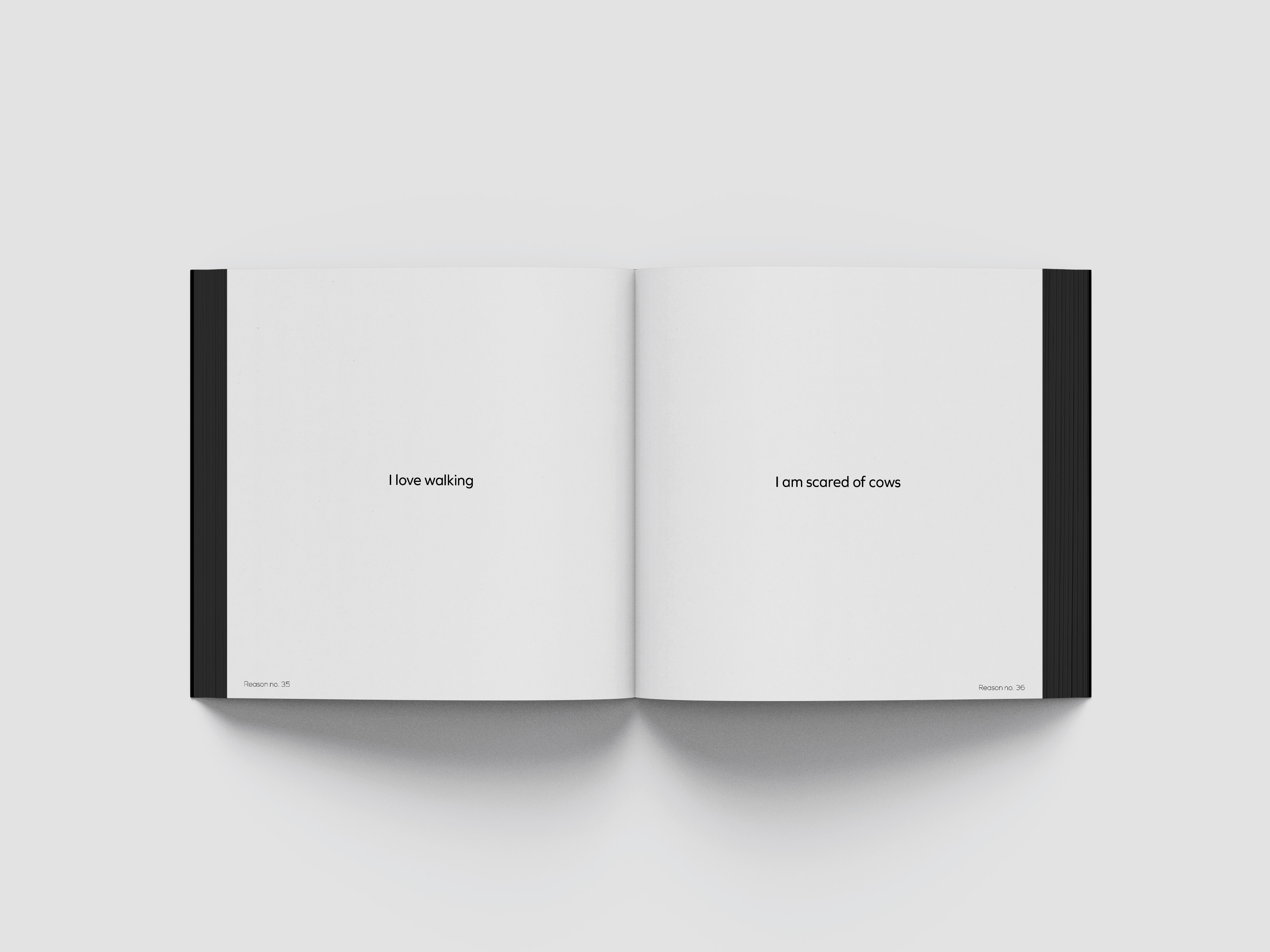 Mockup of the book 100 Reasons Why I am Enough
