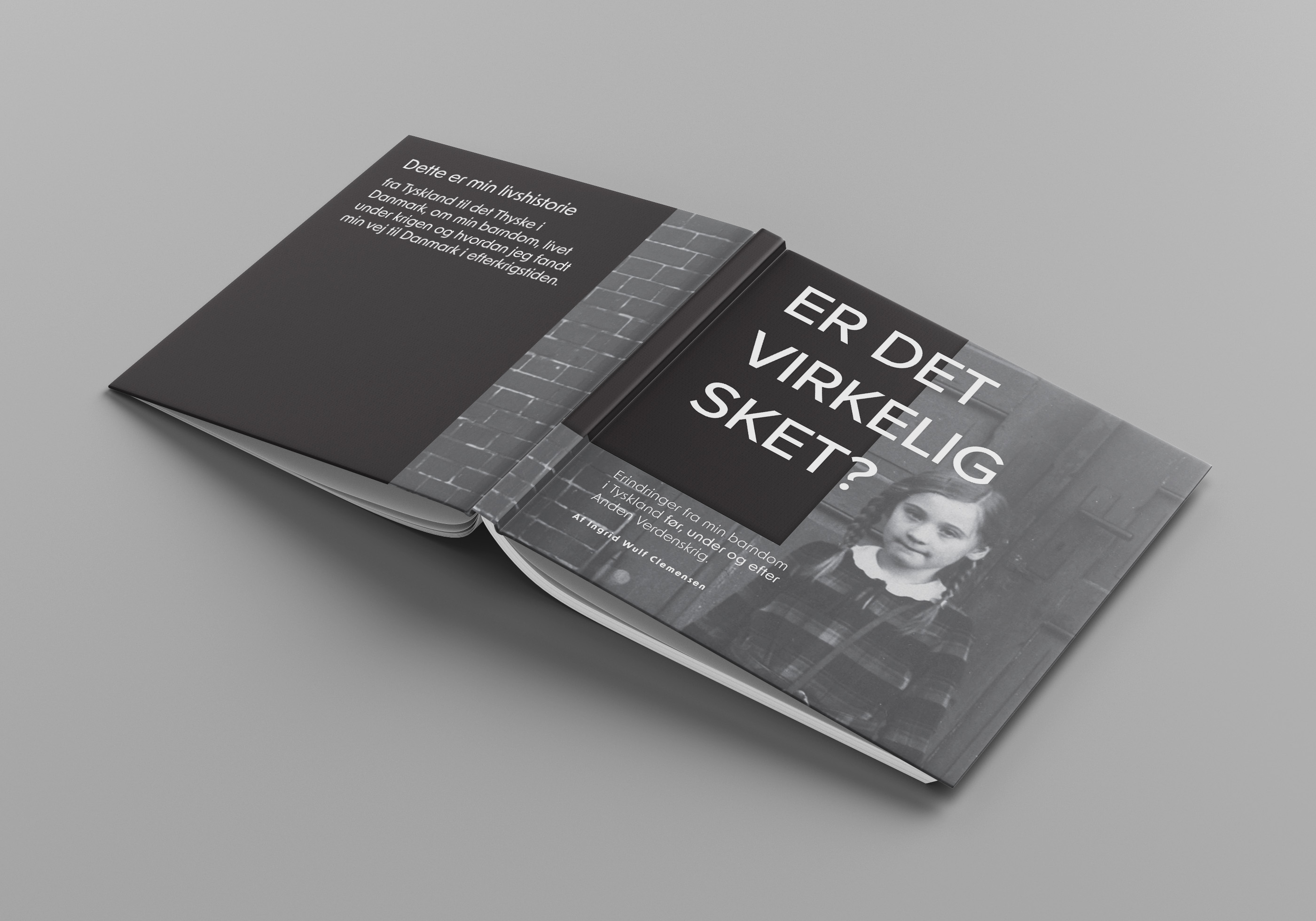 Cover of the book Er Det Virkelig Sket?