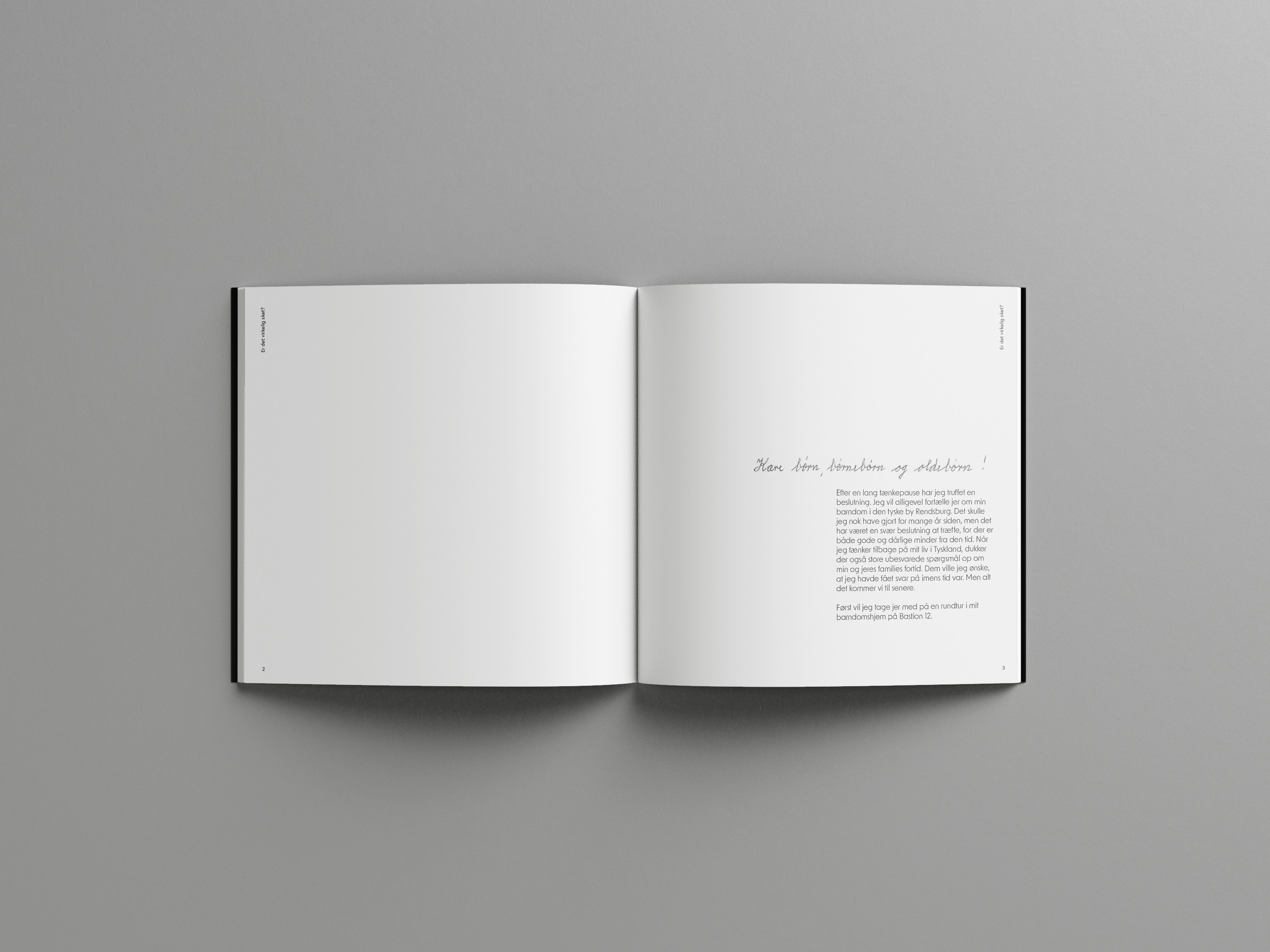 Mockup of the book Er Det Virkelig Sket?