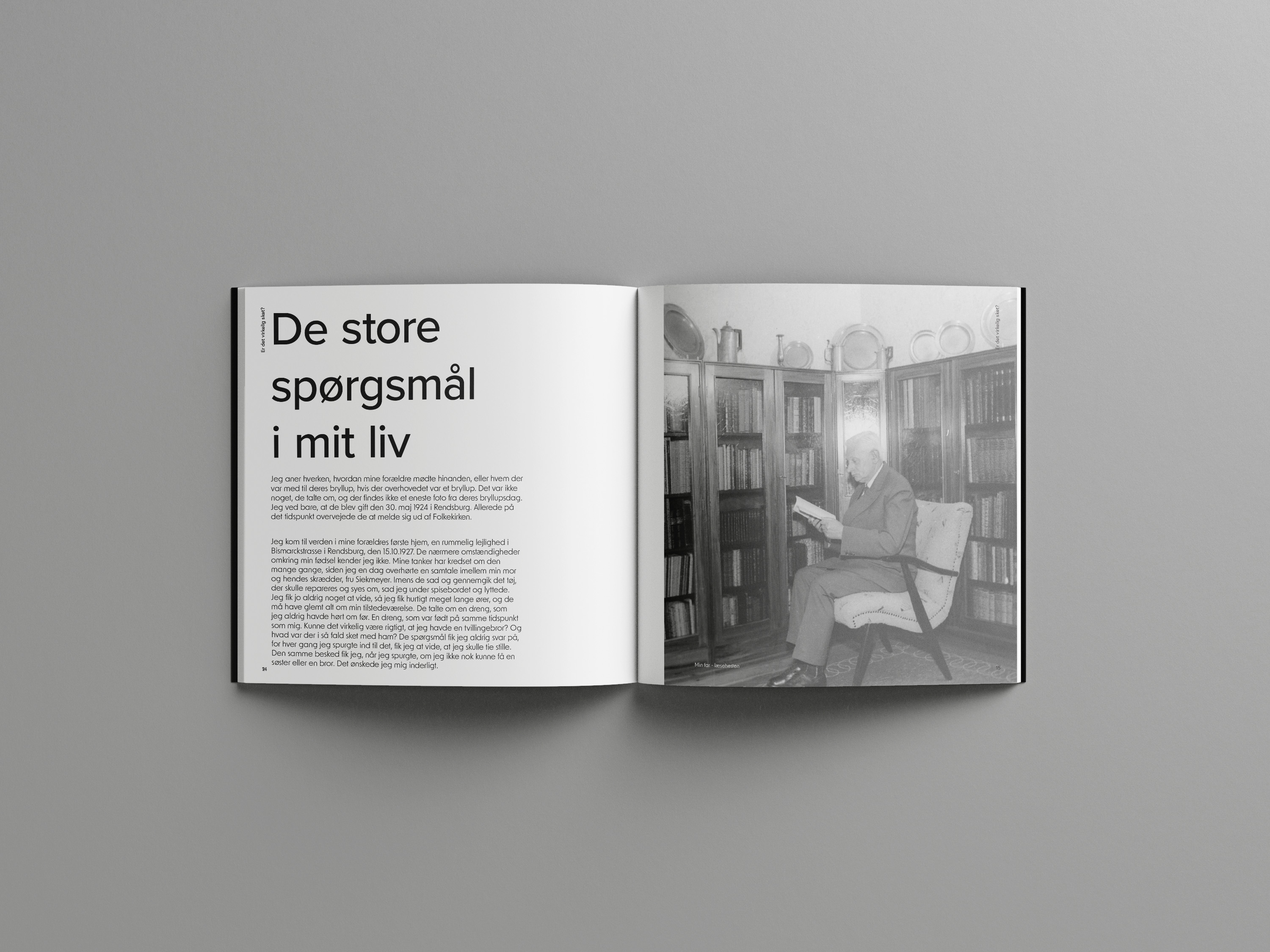Mockup of the book Er Det Virkelig Sket?