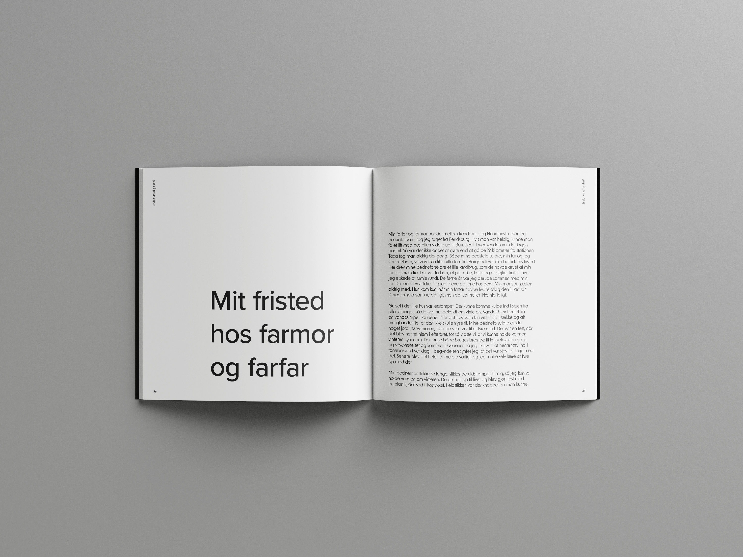 Mockup of the book Er Det Virkelig Sket?