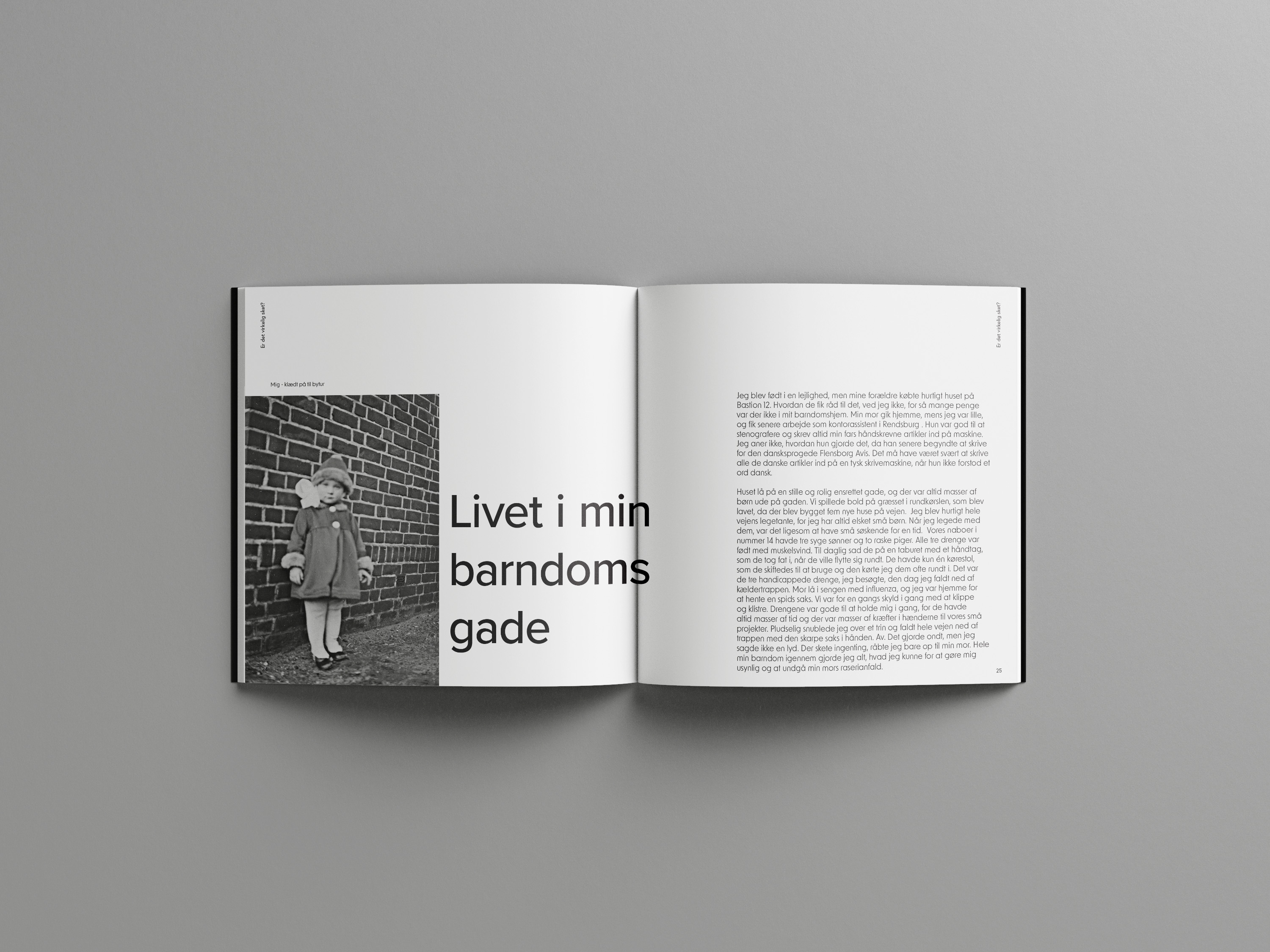 Mockup of the book Er Det Virkelig Sket?