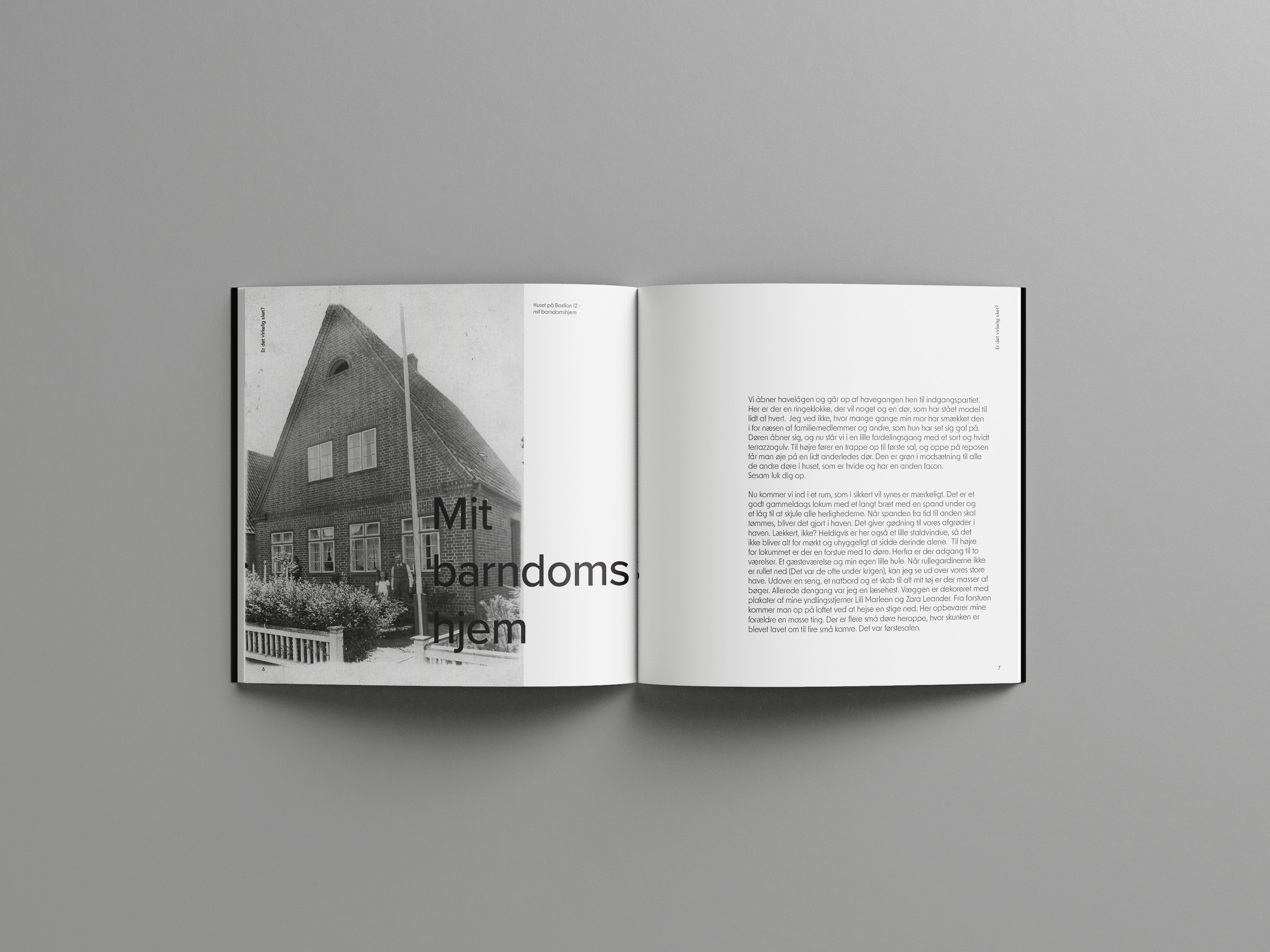 Mockup of the book Er Det Virkelig Sket?