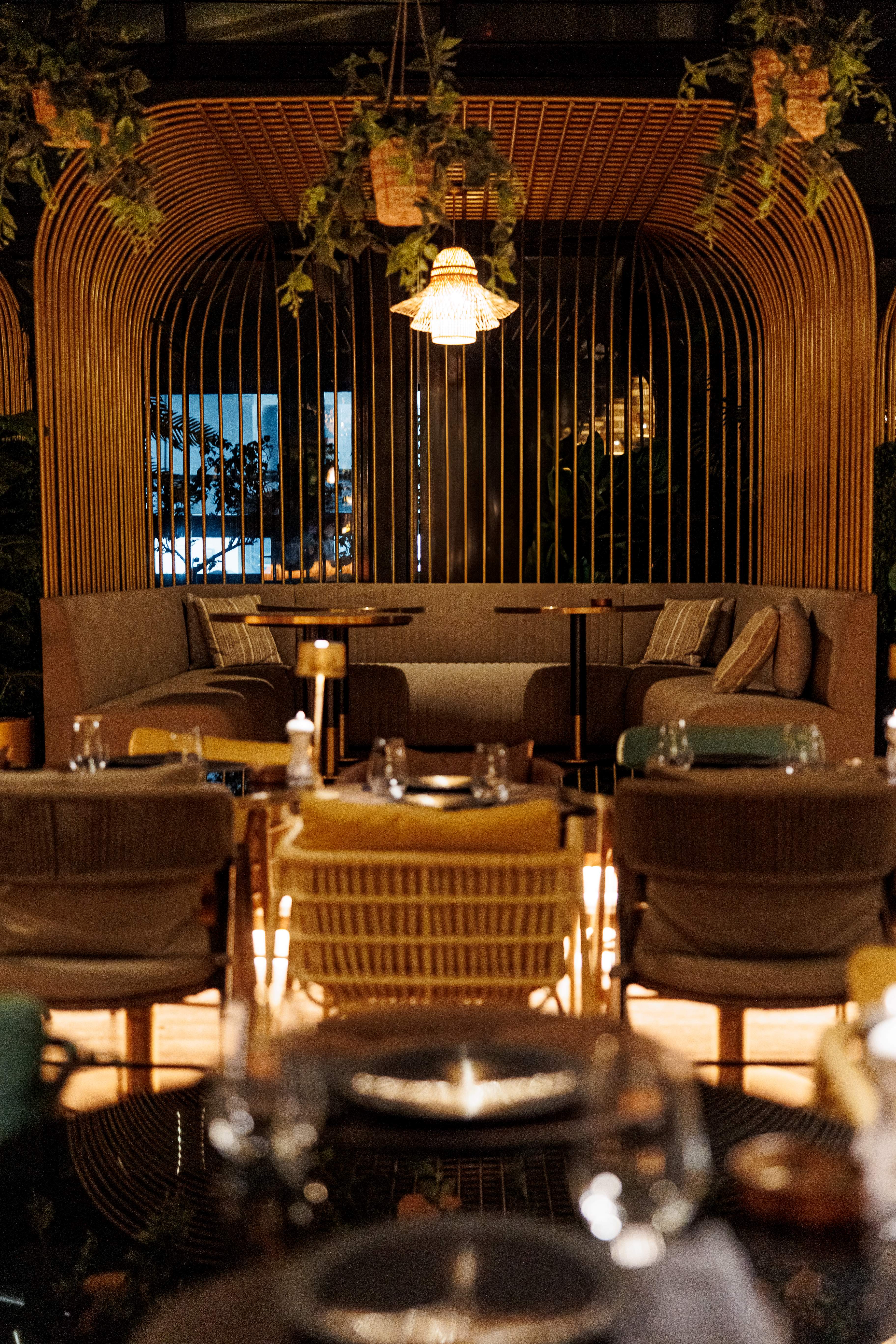 Cozy restaurant booth with cushioned seating under a wicker ceiling frame and hanging plants.