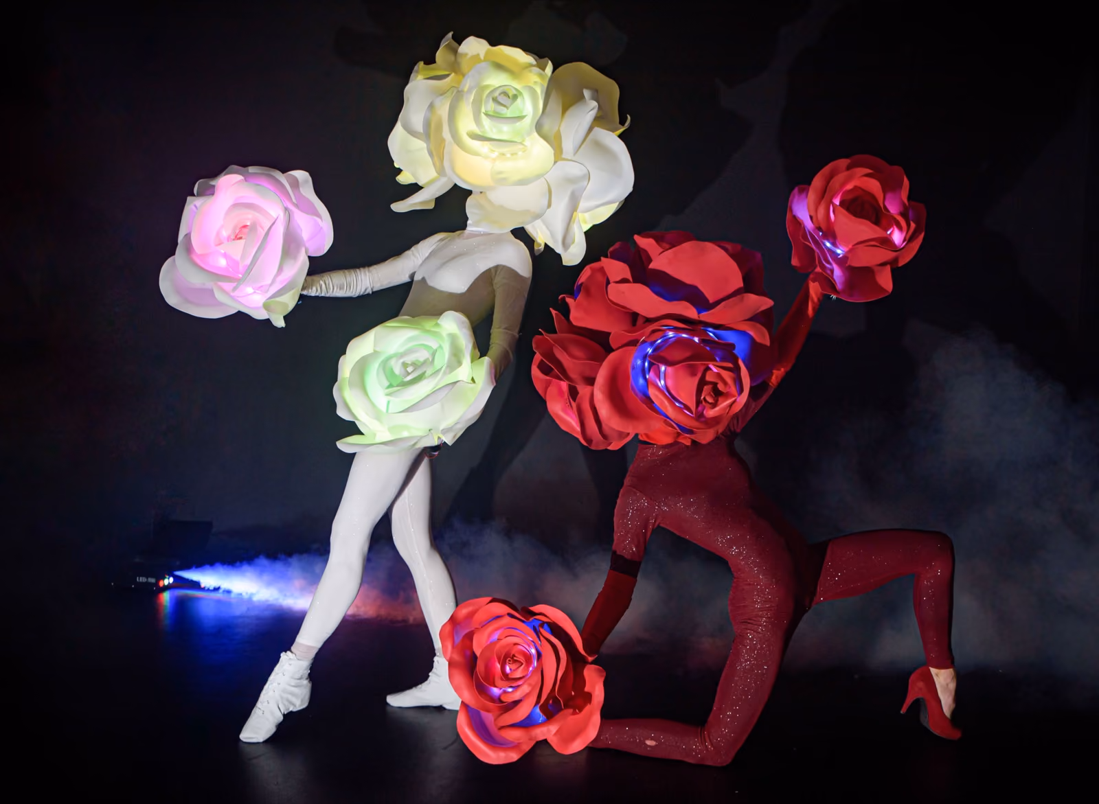 Tanec a show - fotografie 8