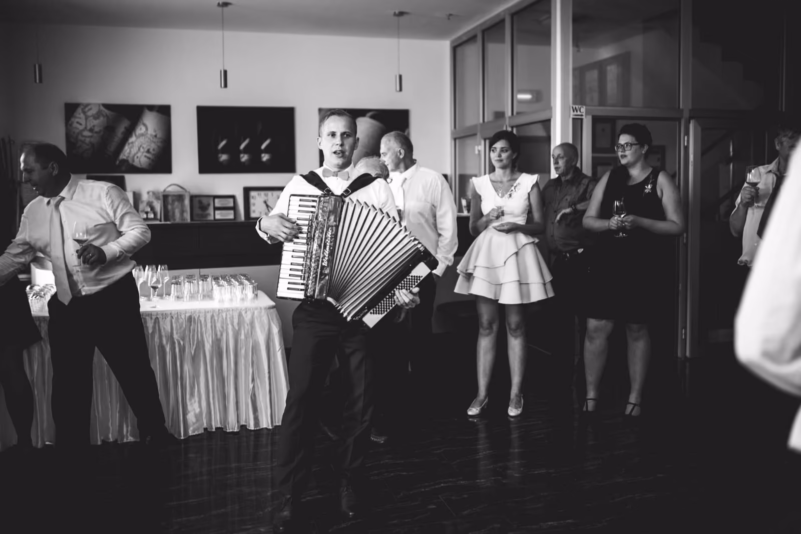 Harmonikář - fotografie 3