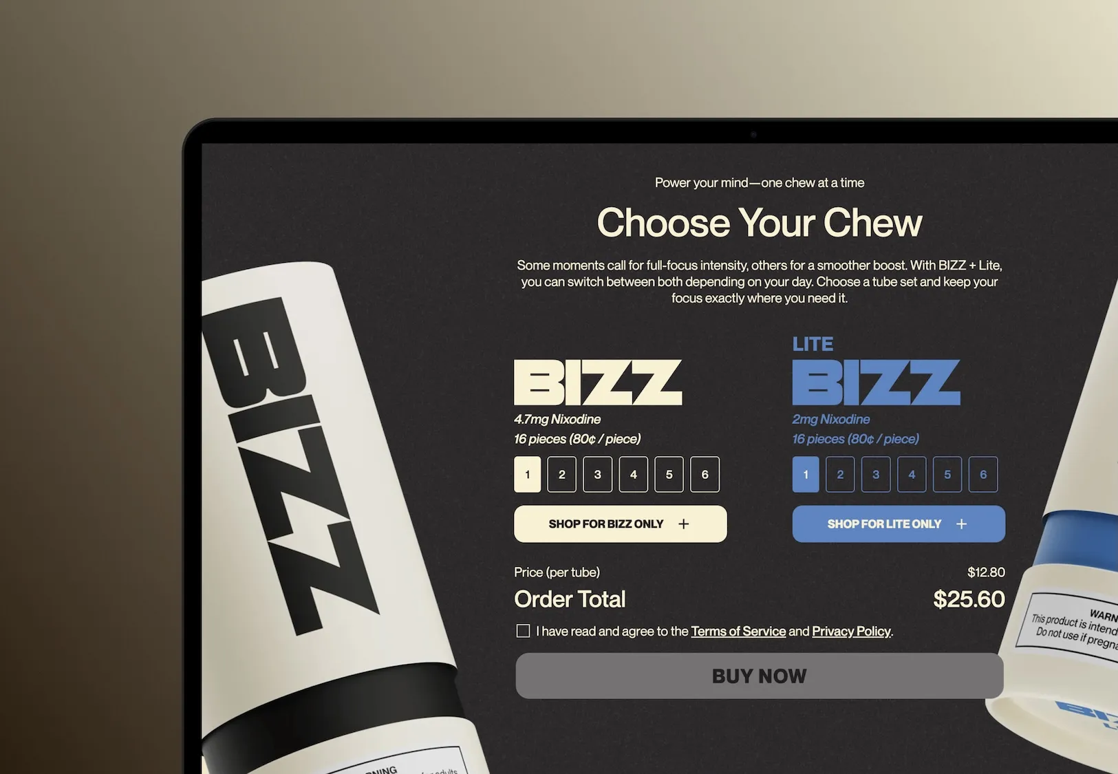BIZZ Mockup