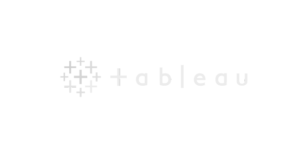 Tableau Data Visualization Software