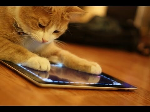 What's an iPad Really Good For?