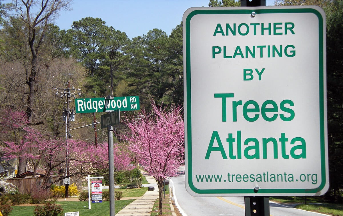 Trees Atlanta 13th Annual Sell-a-bration
