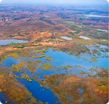 Aerial view of the Okavango Delta with winding water channels and green wetlands