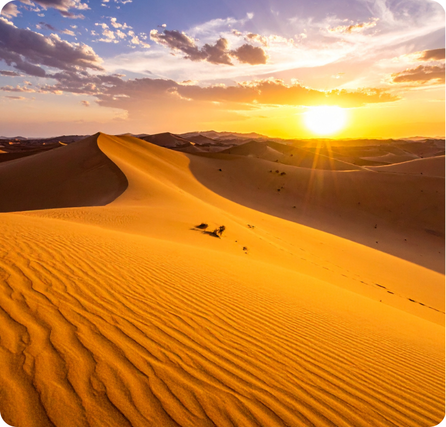 Wide view of the Sahara Desert showing rolling golden sand dunes