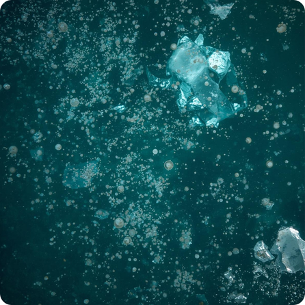 Phytoplankton shown as tiny green specks floating in cold ocean water