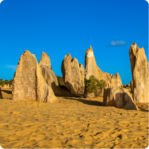 The Pinnacles with tall limestone spires rising from yellow desert sand