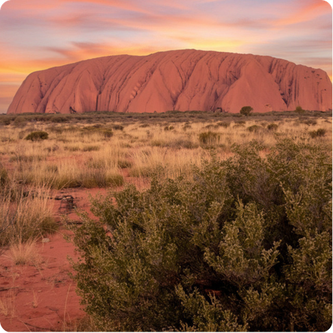 Uluru as a large red sandstone monolith standing alone in the outback