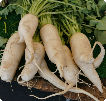 Parsnips with pale cream-colored roots lying on a wooden surface