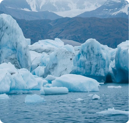 Ilulissat Icefjord with large blue icebergs floating in a wide Arctic channel