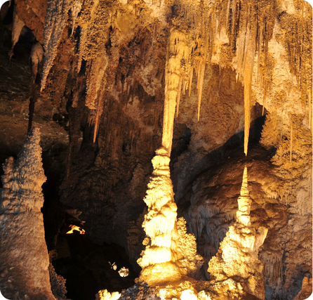 Carlsbad Caverns with large underground chambers and detailed rock formations