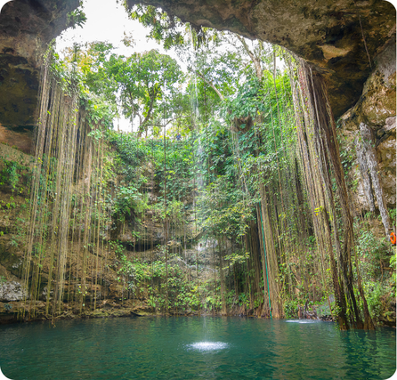Cenote Ik Kil with a round blue pool and long hanging vines