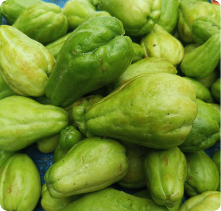 Chayote squash with light green wrinkled skin and pear-like shape