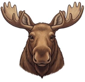 No. American Moose cartoon head shot