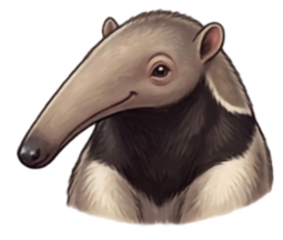 So. America Ant Eater cartoon head shot